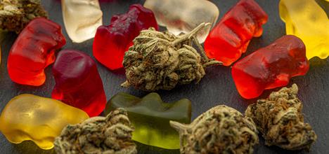 weed edibles 